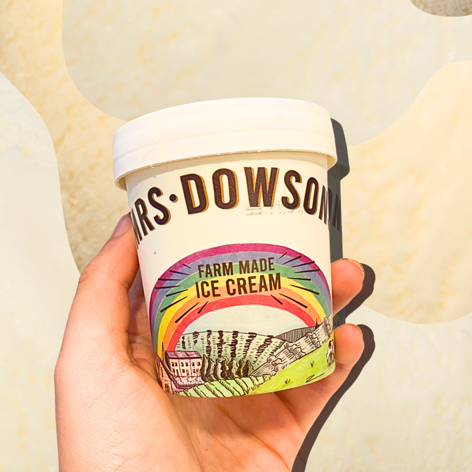 Vegan Vanilla Ice Cream Pot